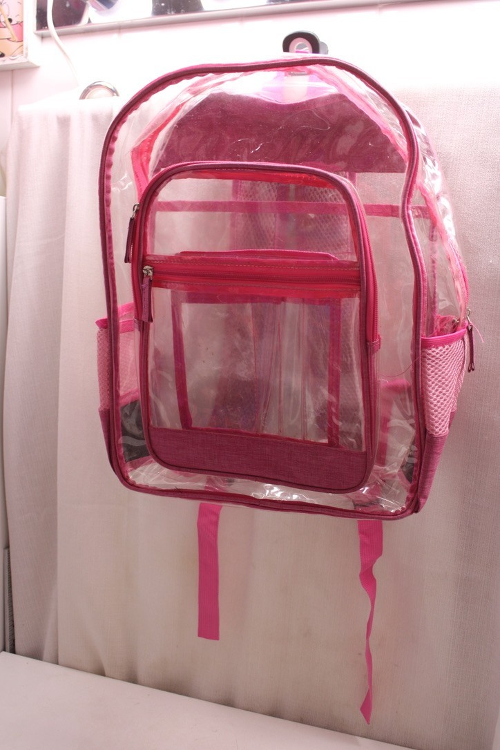 Pink transparent PVC plastic backpack Pink trim straps 13X15X6 inches