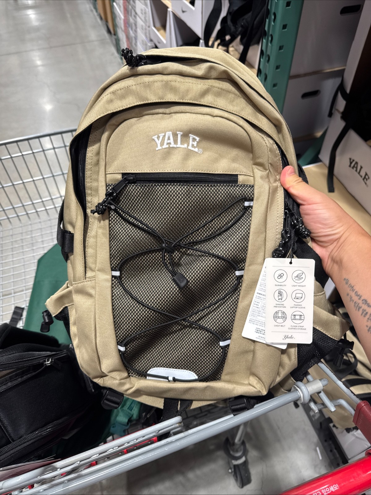 YALE Mesh String Backpack 37L (YGX2BG630ABE) – Padded Laptop Sleeve & Chest Stra