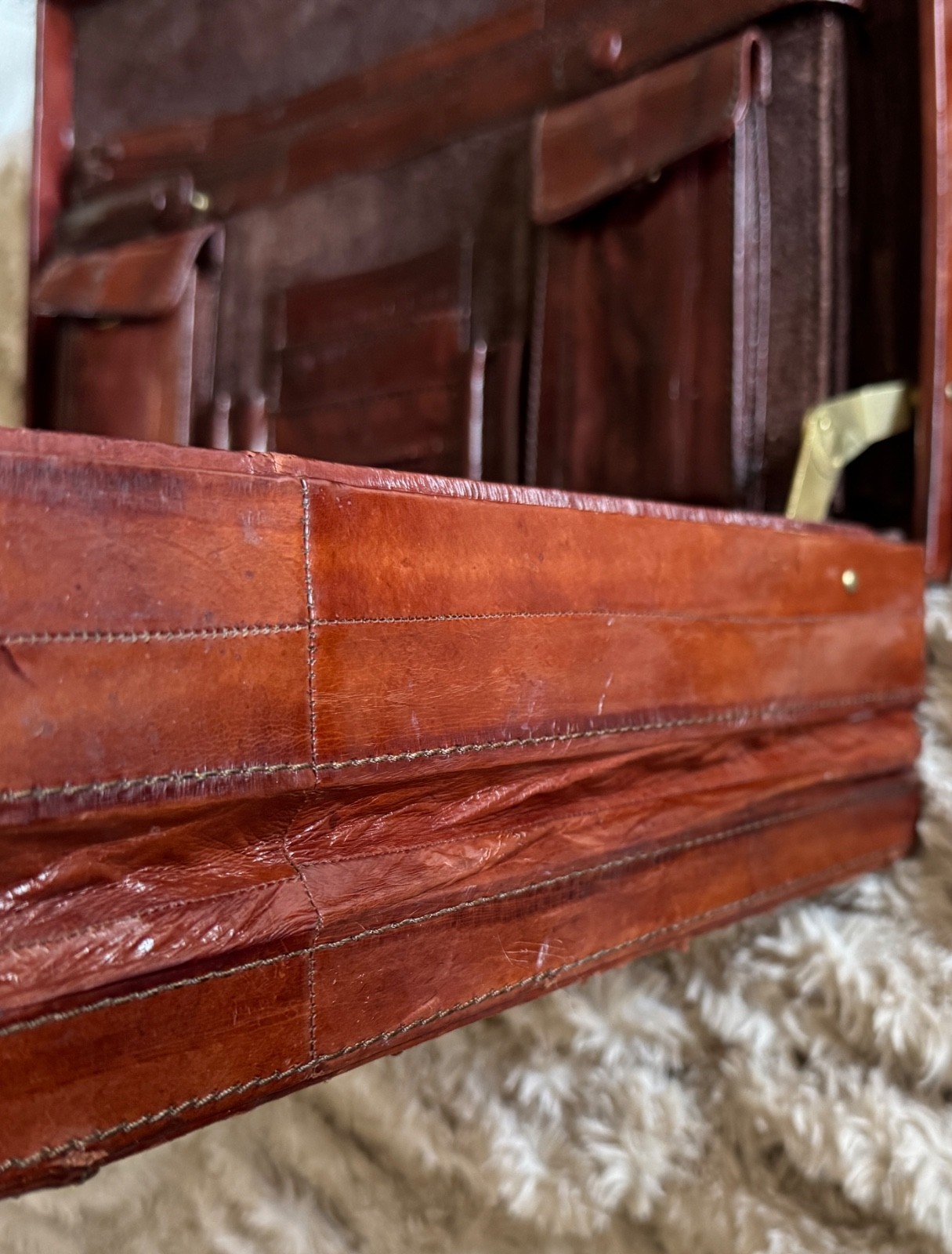 Vintage Eel Skin EXPANDABLE Leather Briefcase
