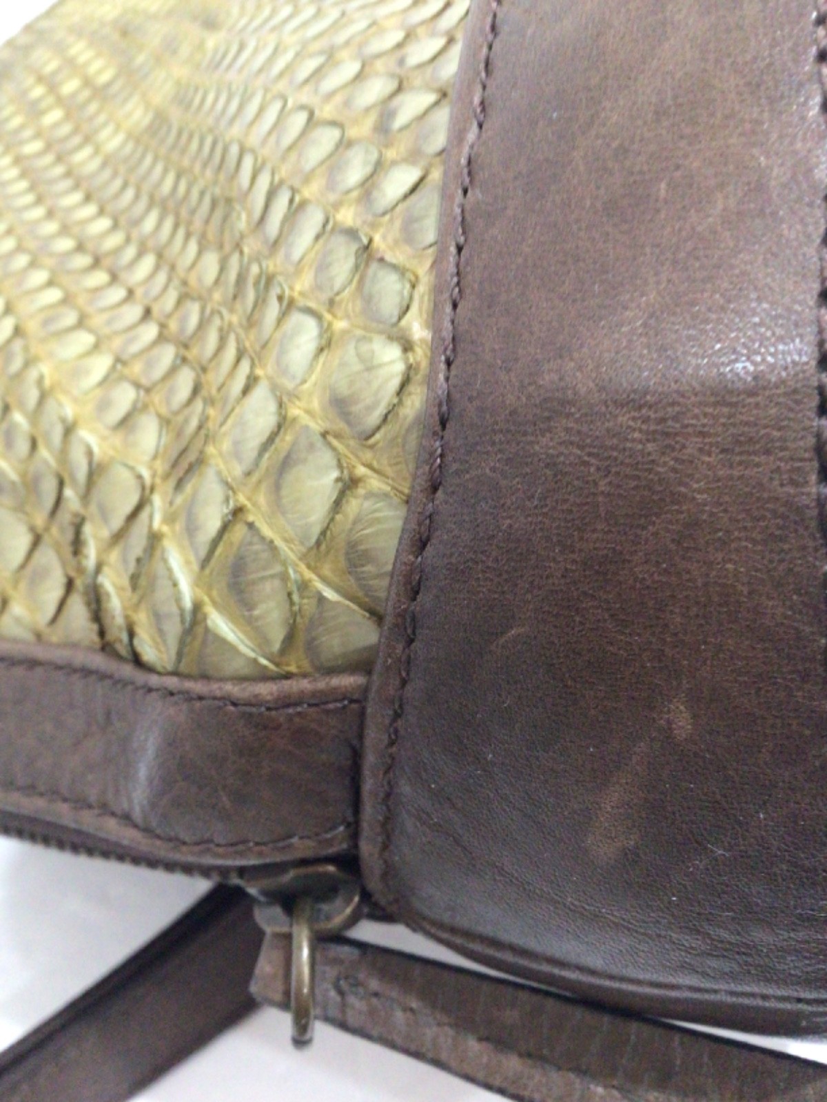 Animal Exotic Leather Backpack Snake Skin