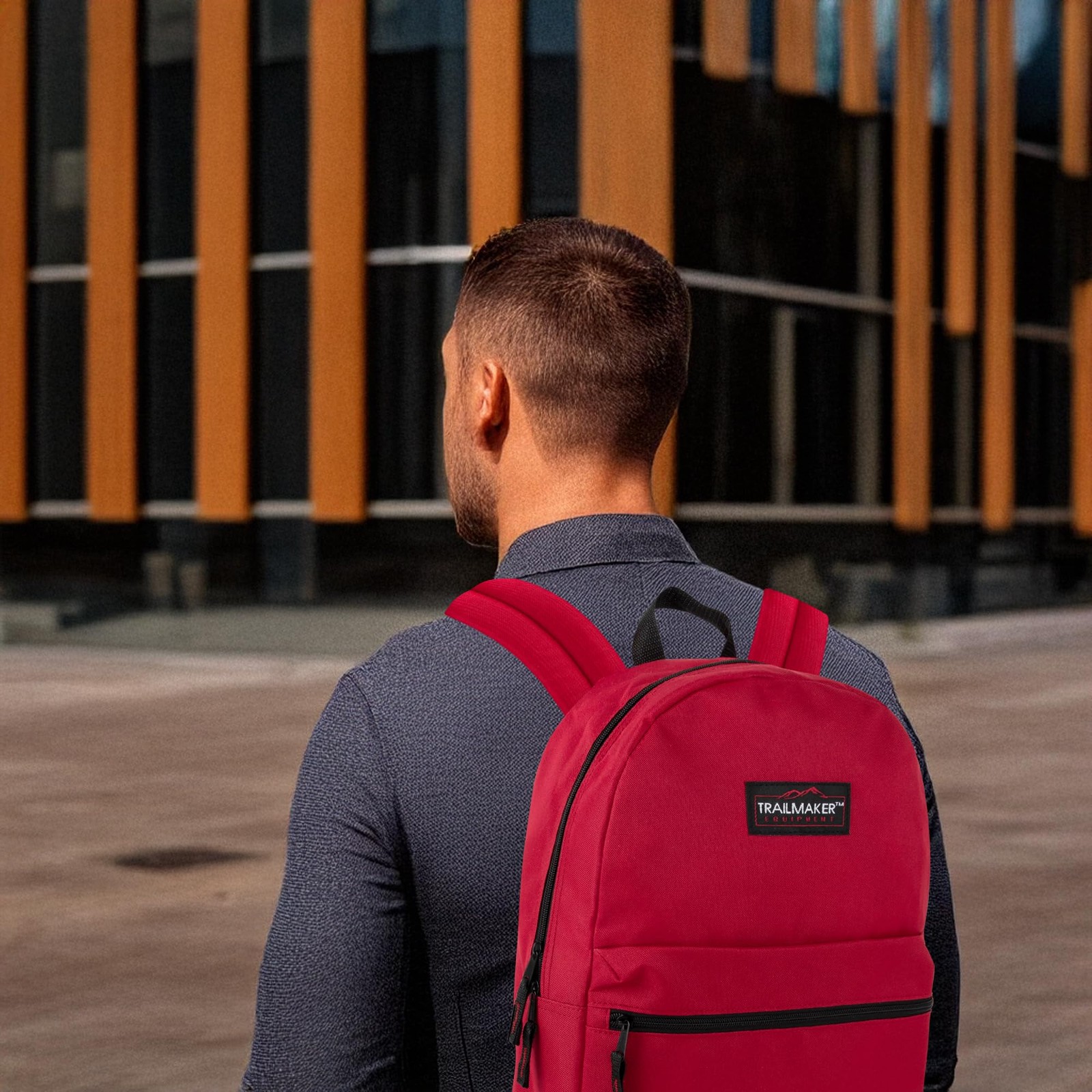 Classic 17 inch Backpacks with Adjustable Padded Straps | School Backpacks fo…