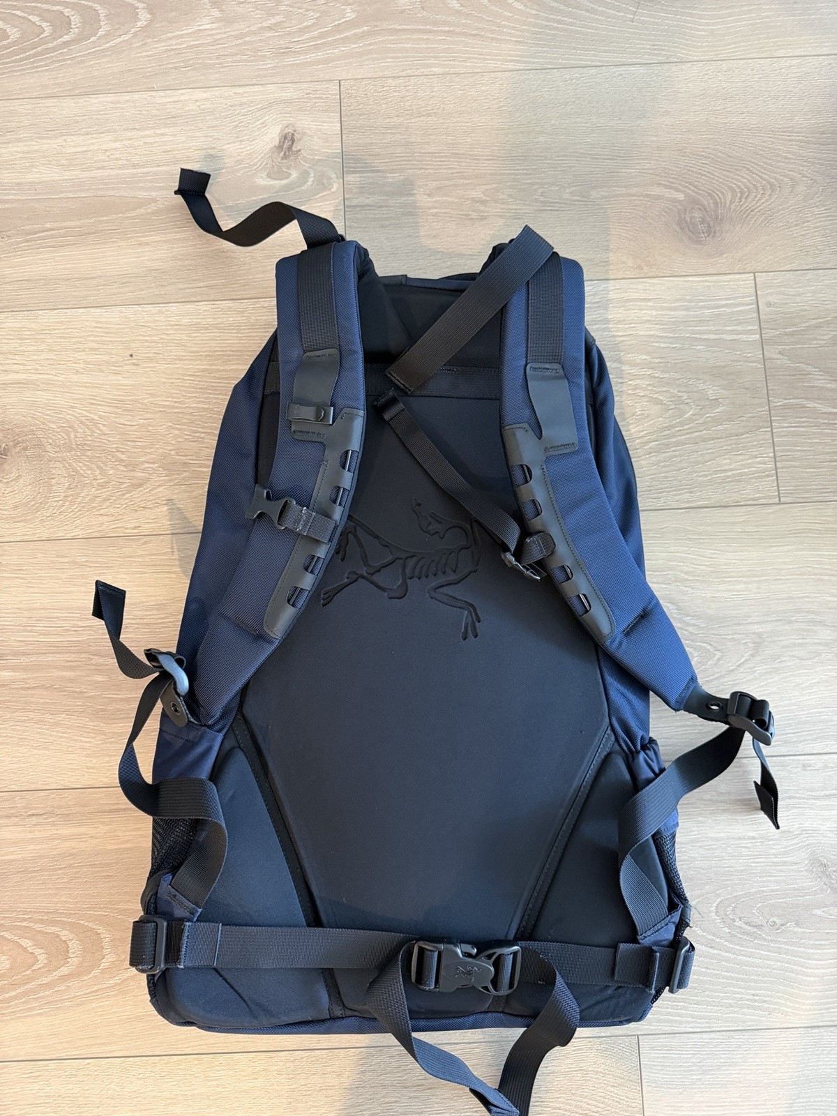 Arcteryx Arro 22