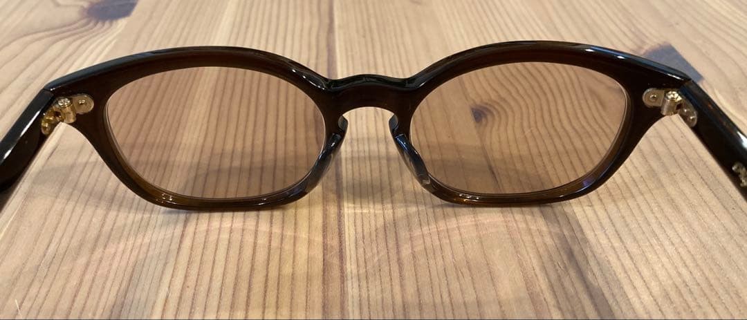 PHIGVEL Brown Frame Sunglasses with Hard Case – Pre-Owned From Japan