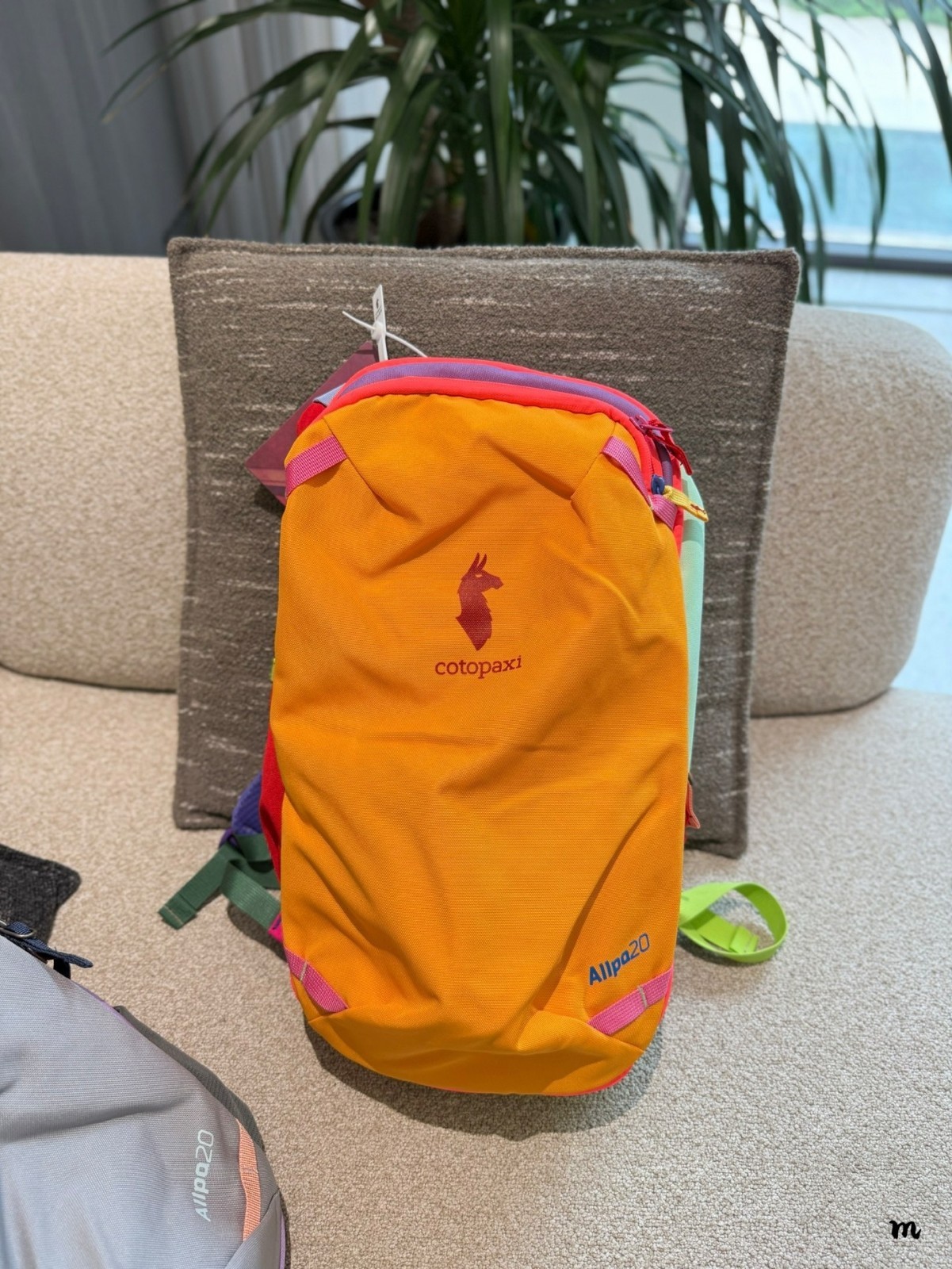 Cotopaxi Allpa Color-Block 20L Alpaca Travel Backpack
