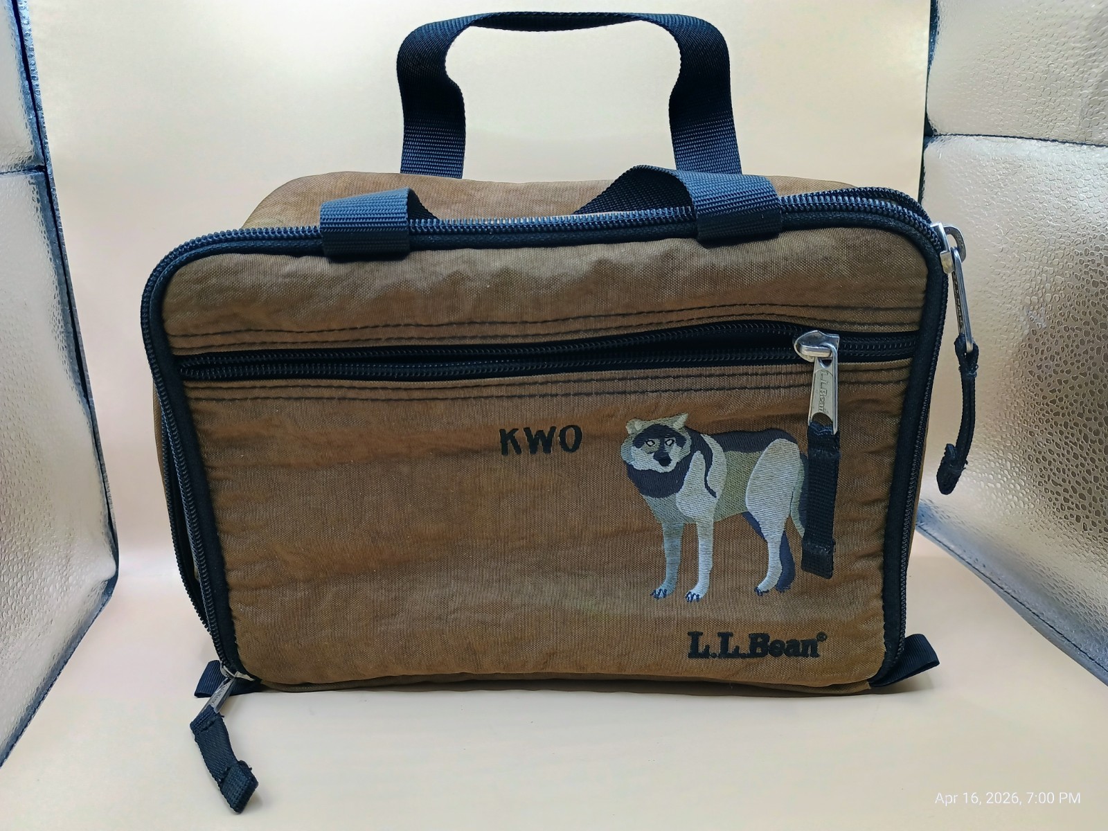 LL Bean Nylon Zippered Insulated Lunch Bag Stitched Embroidered Husky Dog