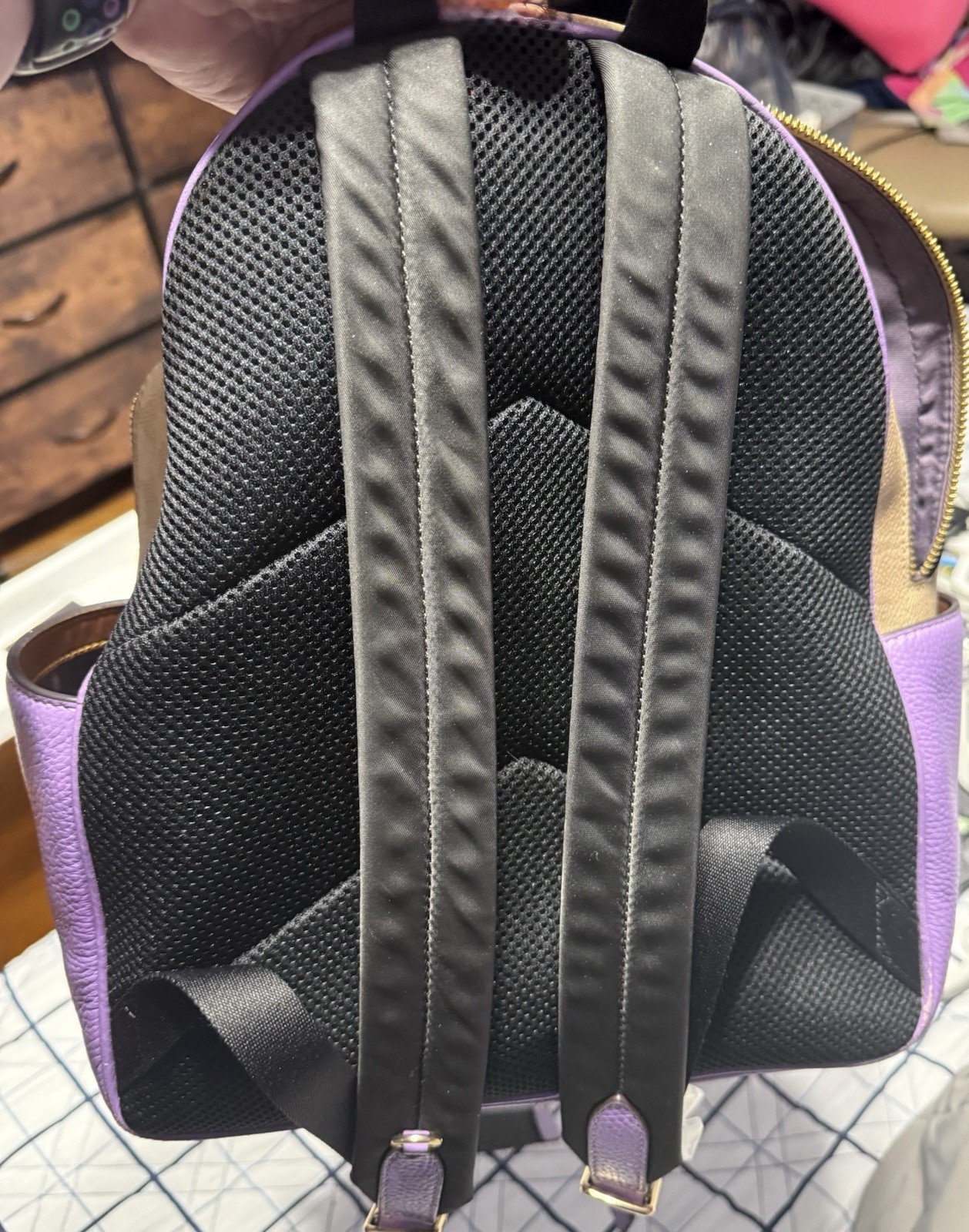 Coach Logo Backpack Purple Beige Zip Closure Adjustable Strap