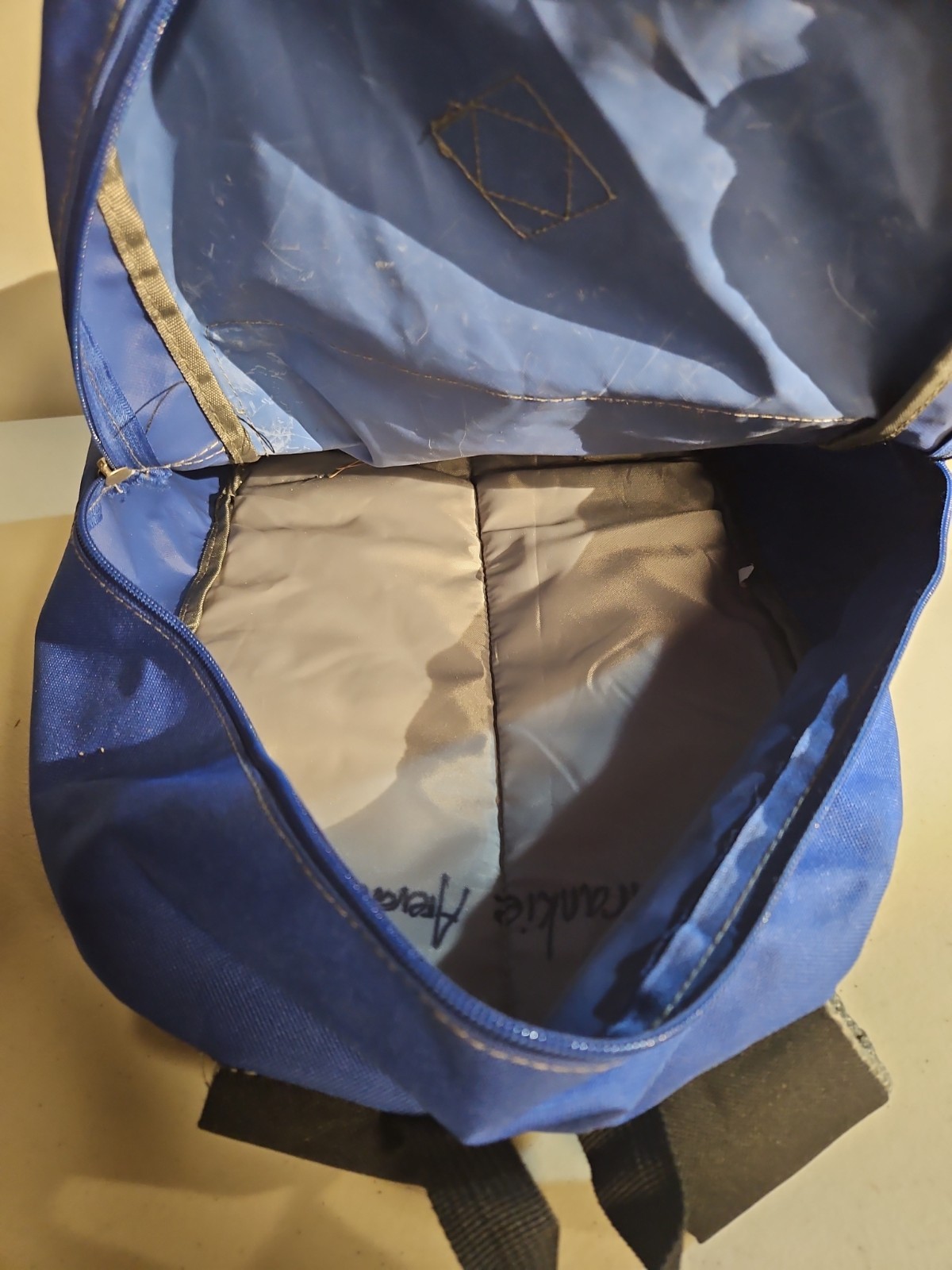 Classic Backpack-School or Work-Approx 18inH x 14inW-2 Zippered Compartments