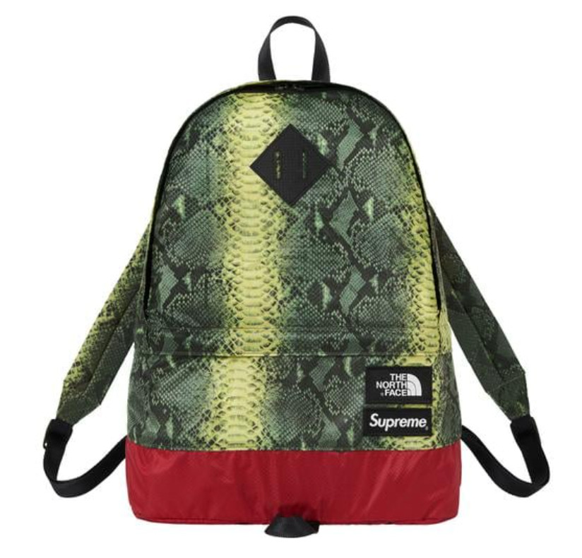 Supreme The North Face Lightweight Daypack Backpack Snake Green SS18 Brand New