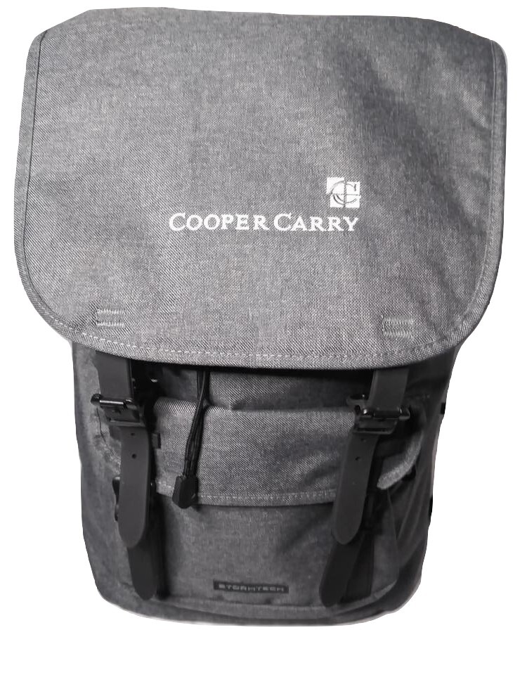 Stormtech Oasis Backpack SPT-1 -Gray Backpack -Cooper Carry Logo