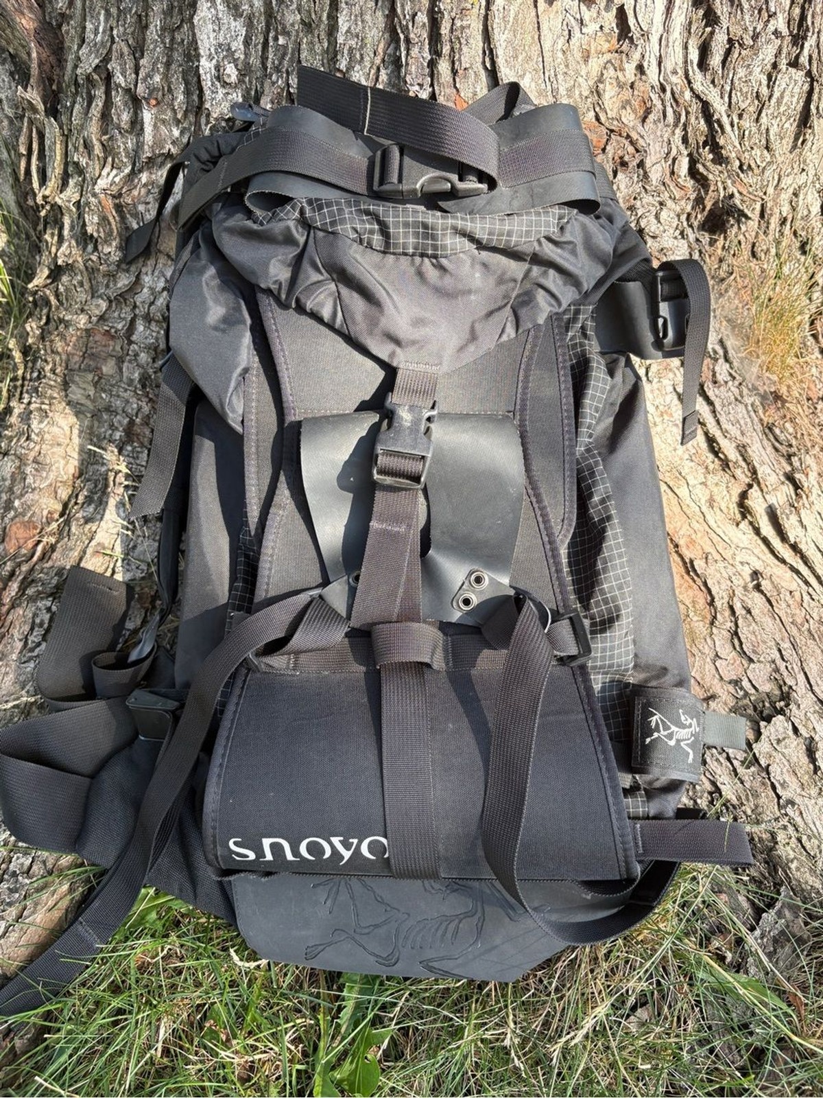 Arc’teryx Snoyo Alpine Snowboard Backpack Gorpcore Canada 90’s Daypack Ruck