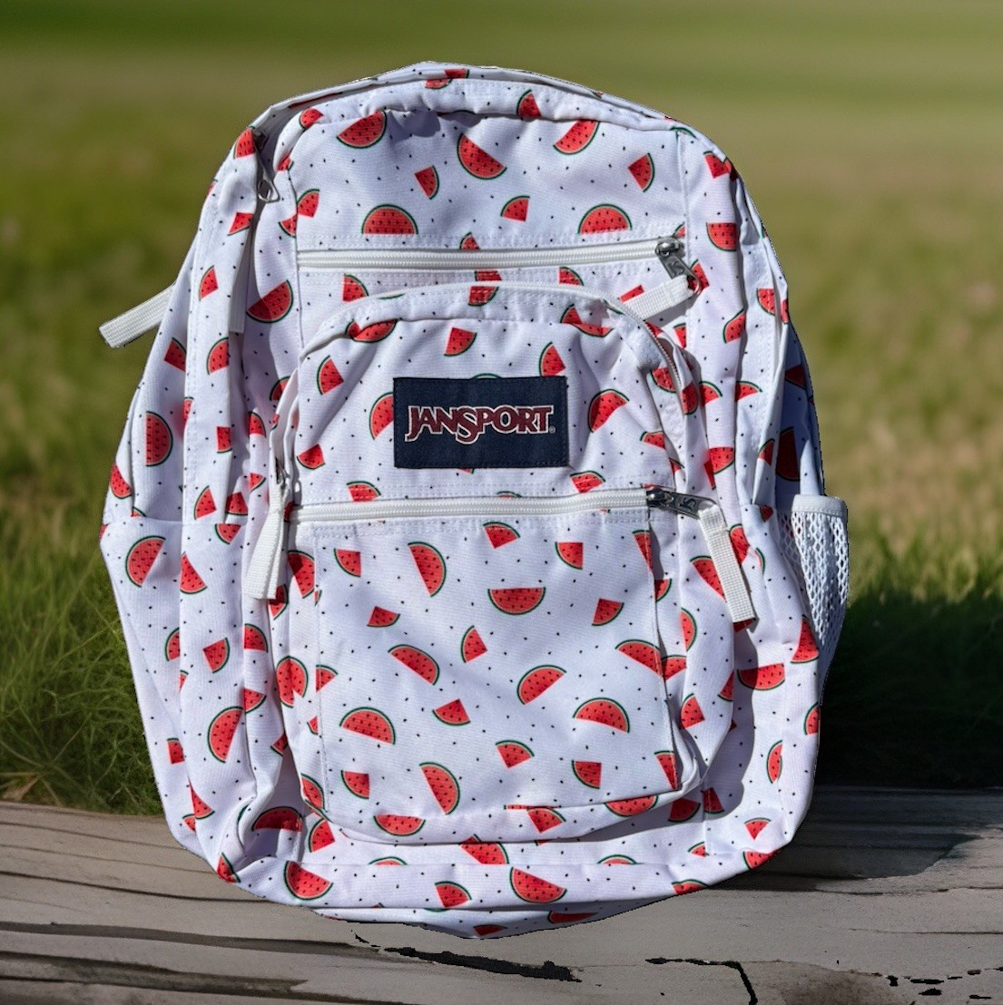Jansport White With Red Watermelon Slices Shower Style Backpack Kids School