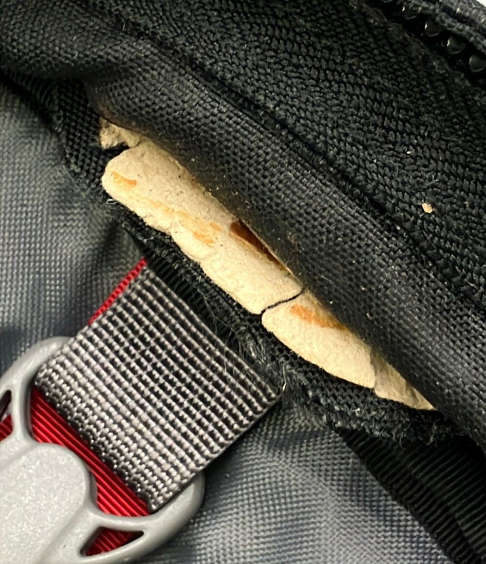 The North Face Backpack Men’s Daypack Casual Urban Japan