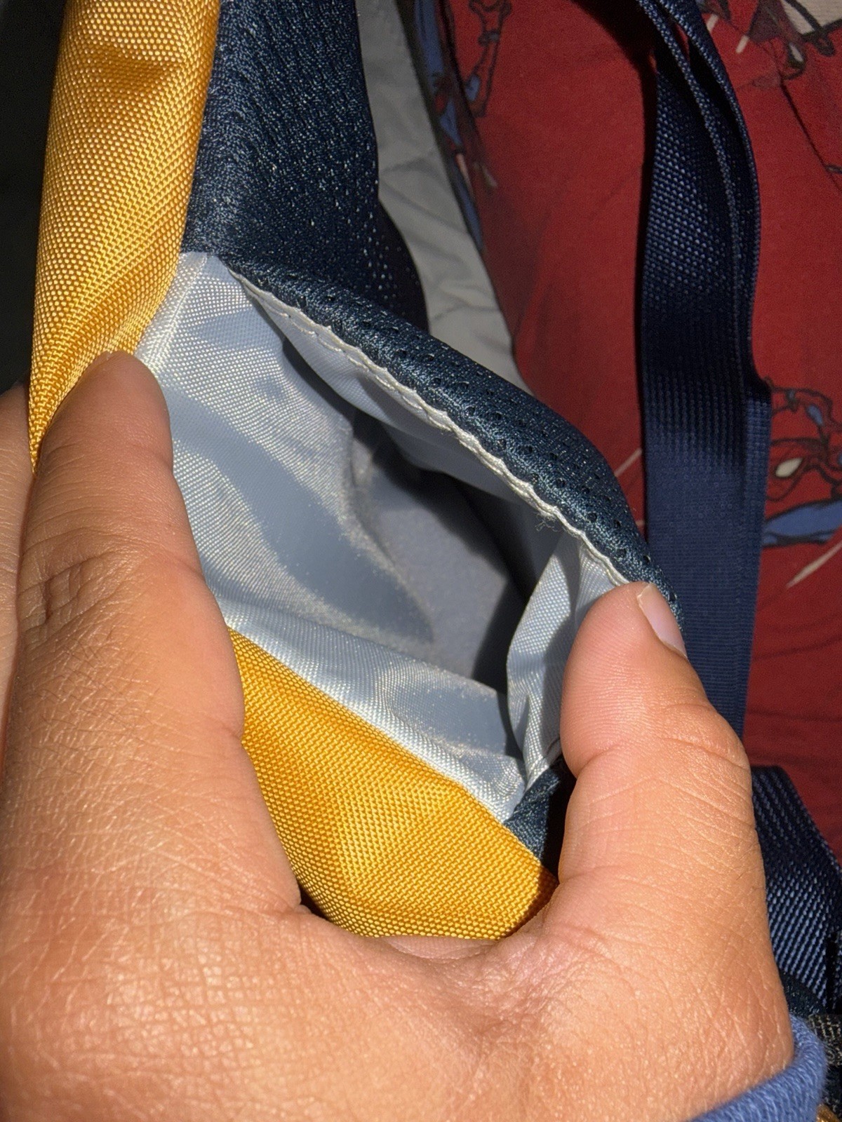 Arcteryx Mantis 1