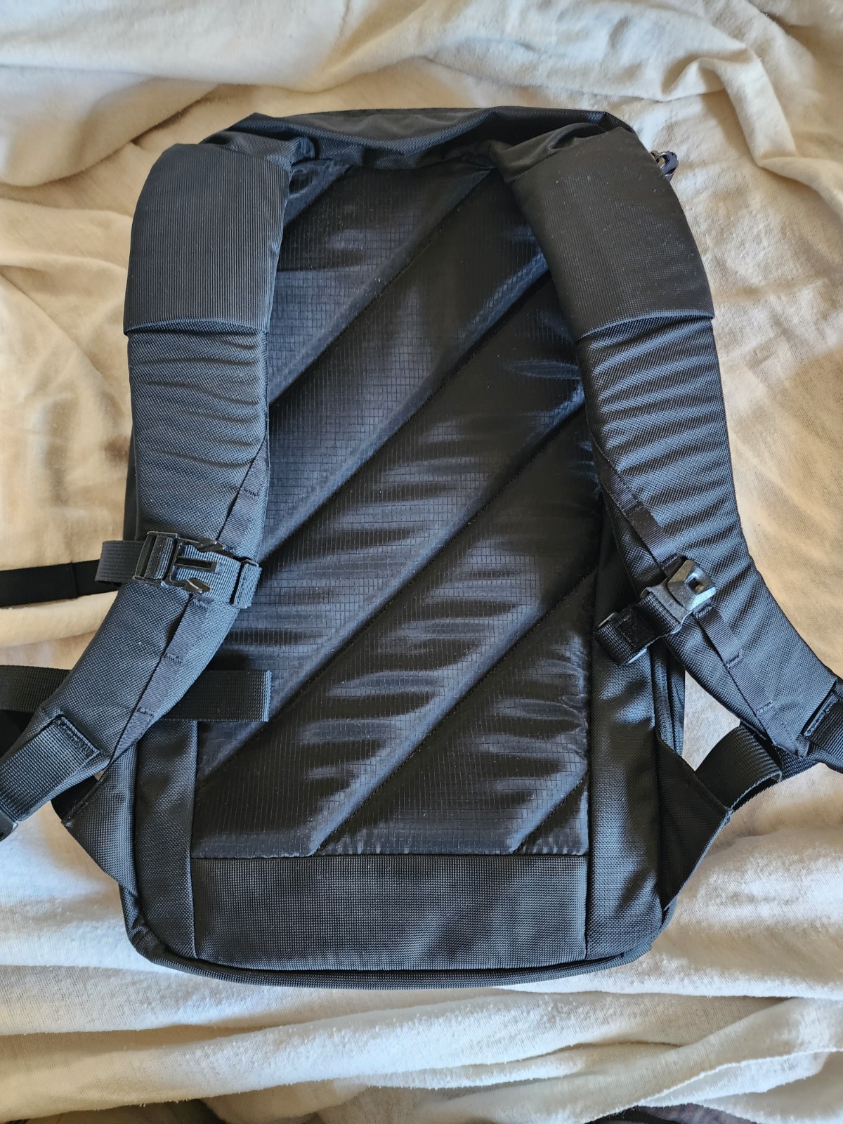 Evergoods CPL16