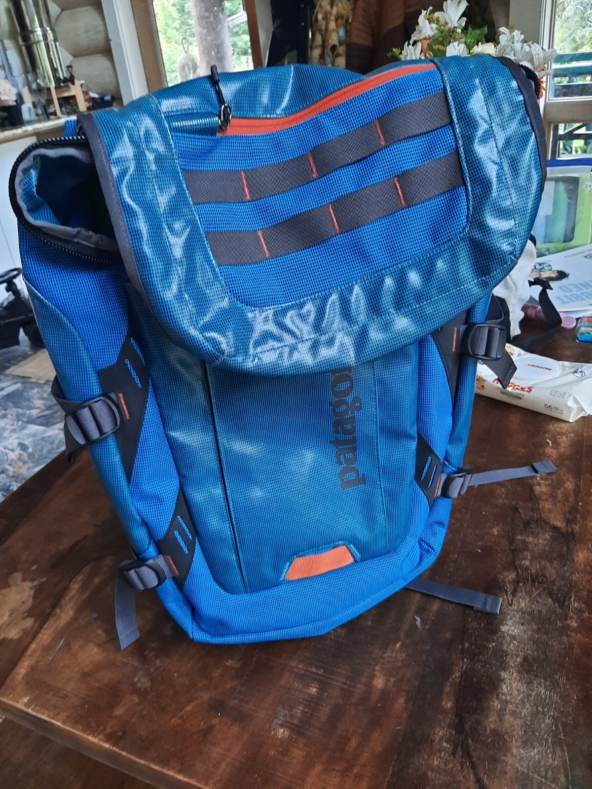 Patagonia Backpack Rare 2010s Waterproof blue green