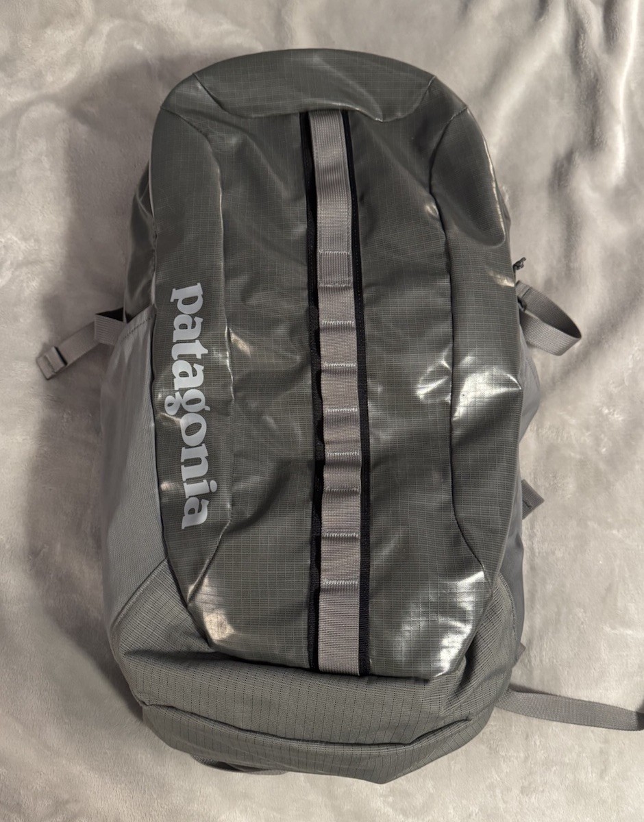 Patagonia Blackhole Day Pack 30L Backpack Travel Hex Gray