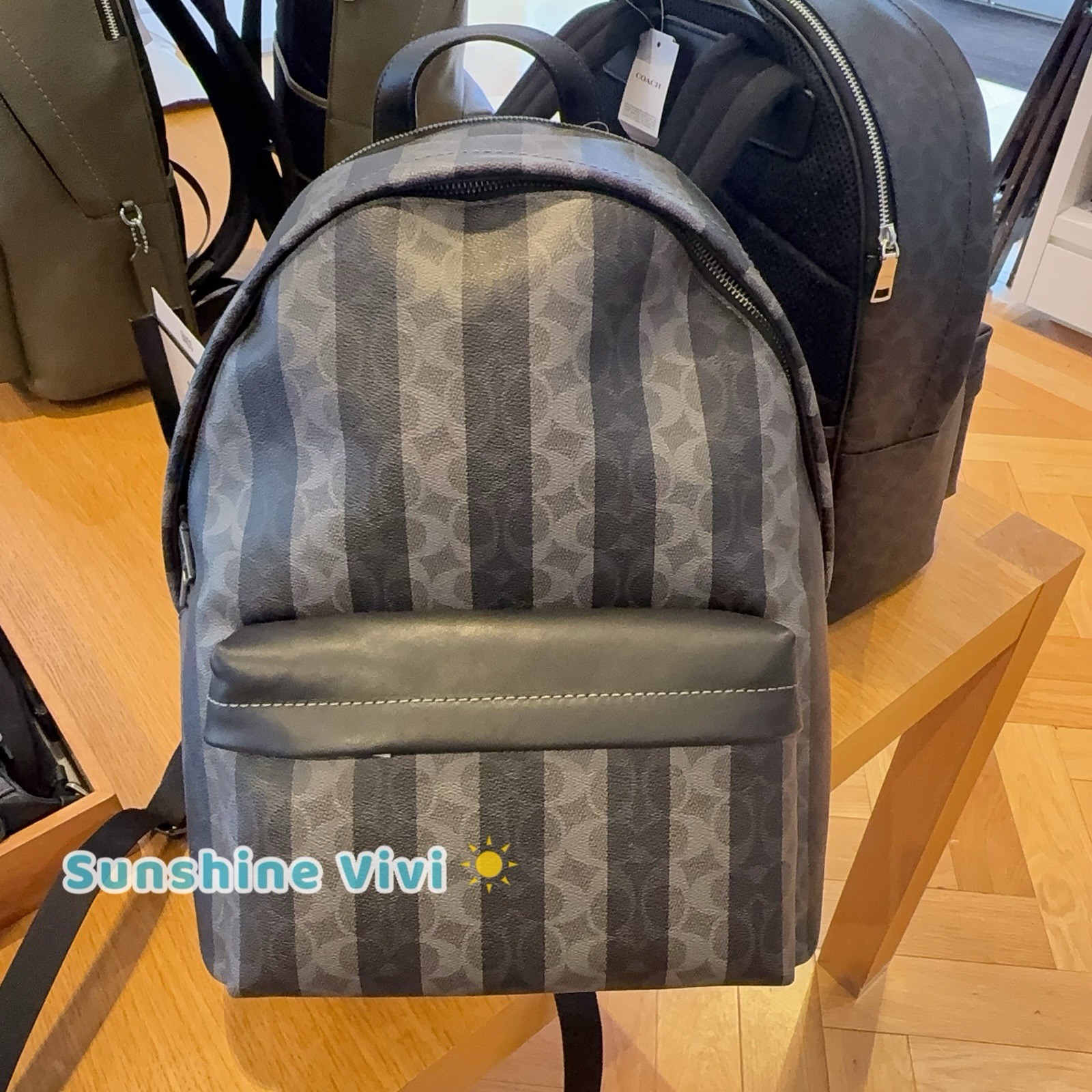 NWT Coach Taylor Backpack Signature Canvas Stripes Gunmetal/Black/Grey CDX88