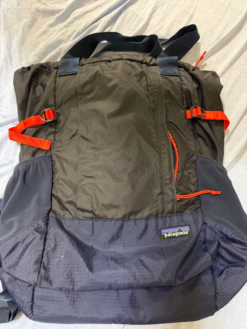 Patagonia 2WAY Lightweight Travel Tote