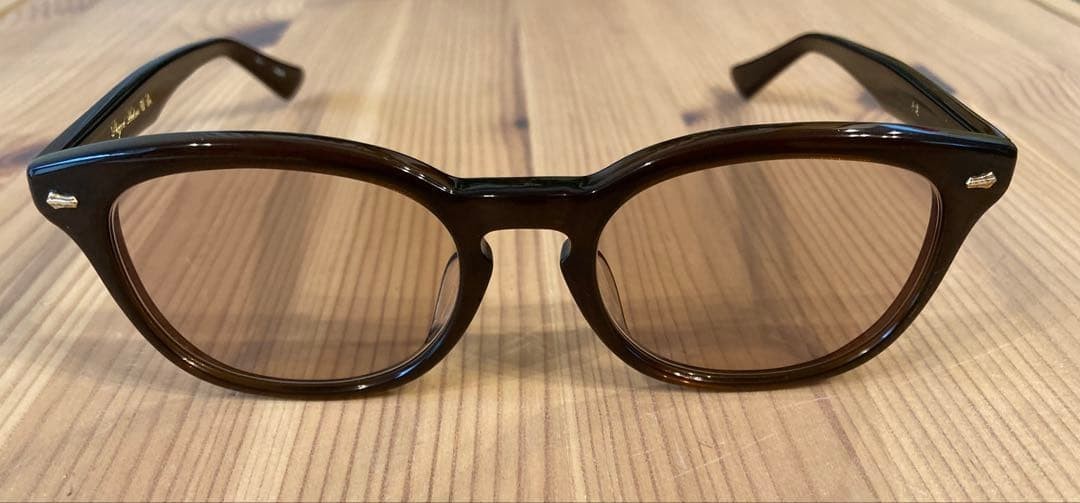 PHIGVEL Brown Frame Sunglasses with Hard Case – Pre-Owned From Japan