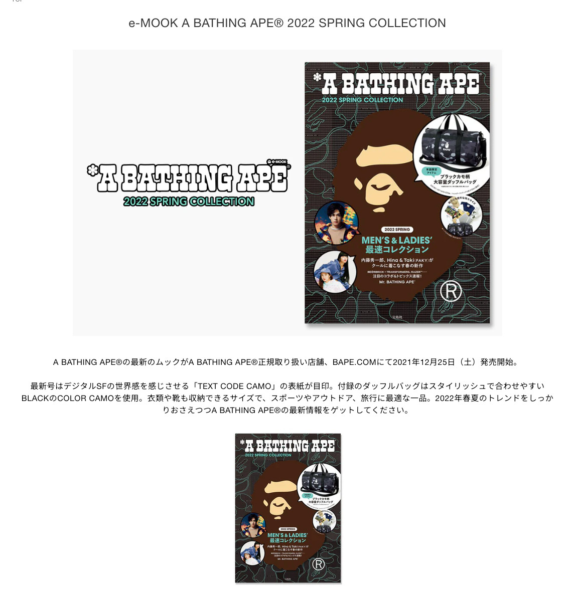 Bape A Bathing Ape Large Duffle Bag Camo BAPE for e-MOOK Magazine