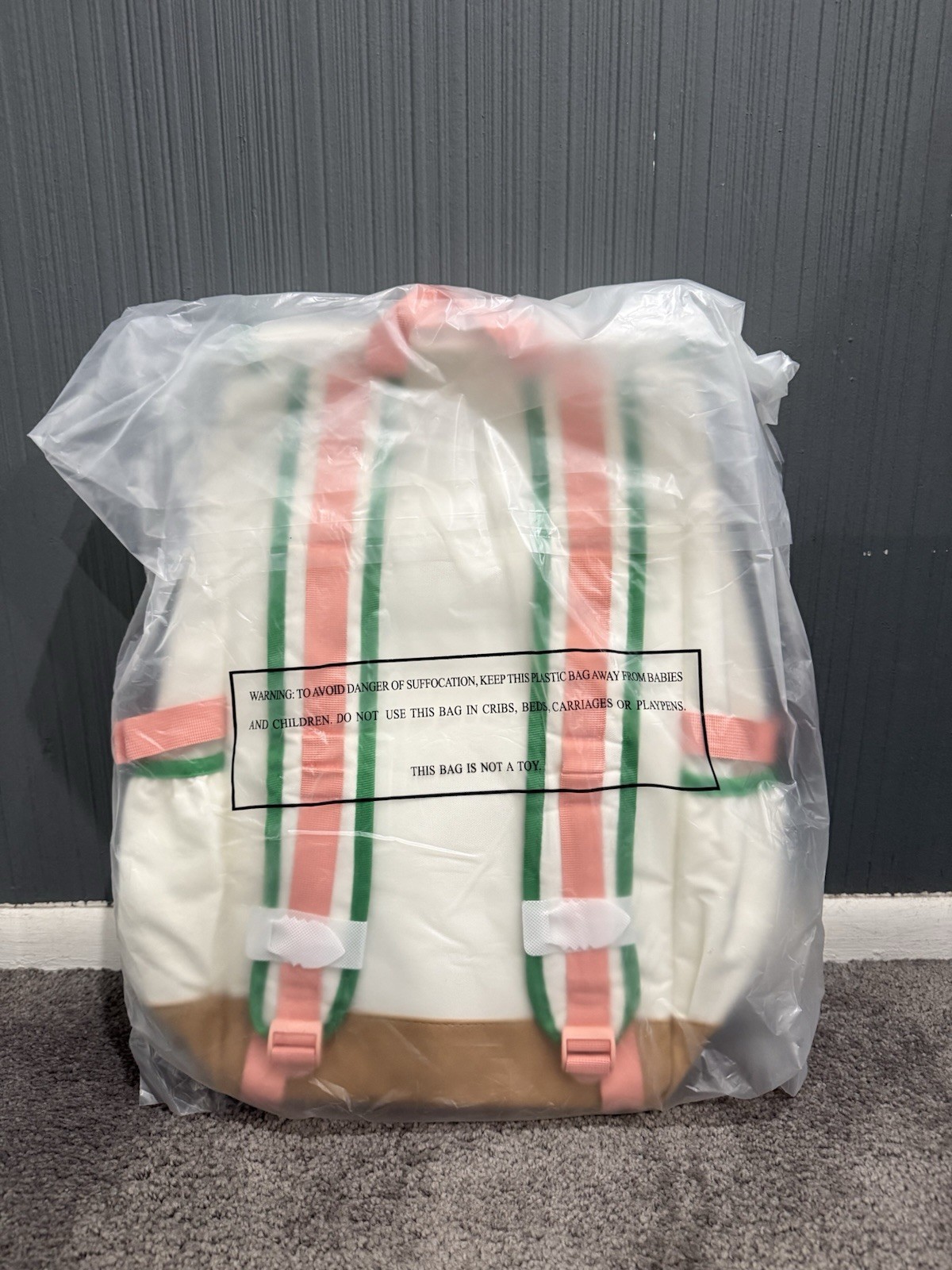 Camp Flog Gnaw Carnival Graphic Print Backpack White Green Pink Outer Pockets
