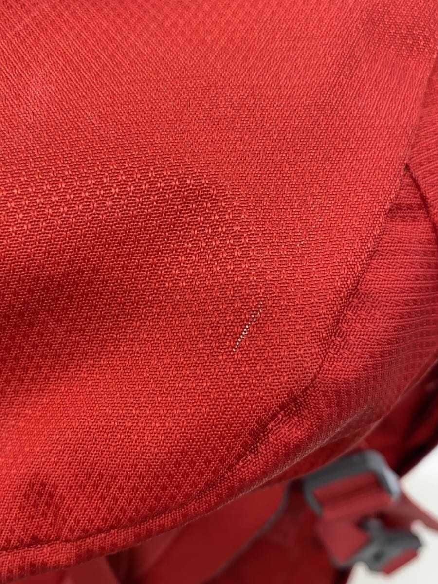 SALEWA CAMMINO 60+10 Polyester Backpack in Red