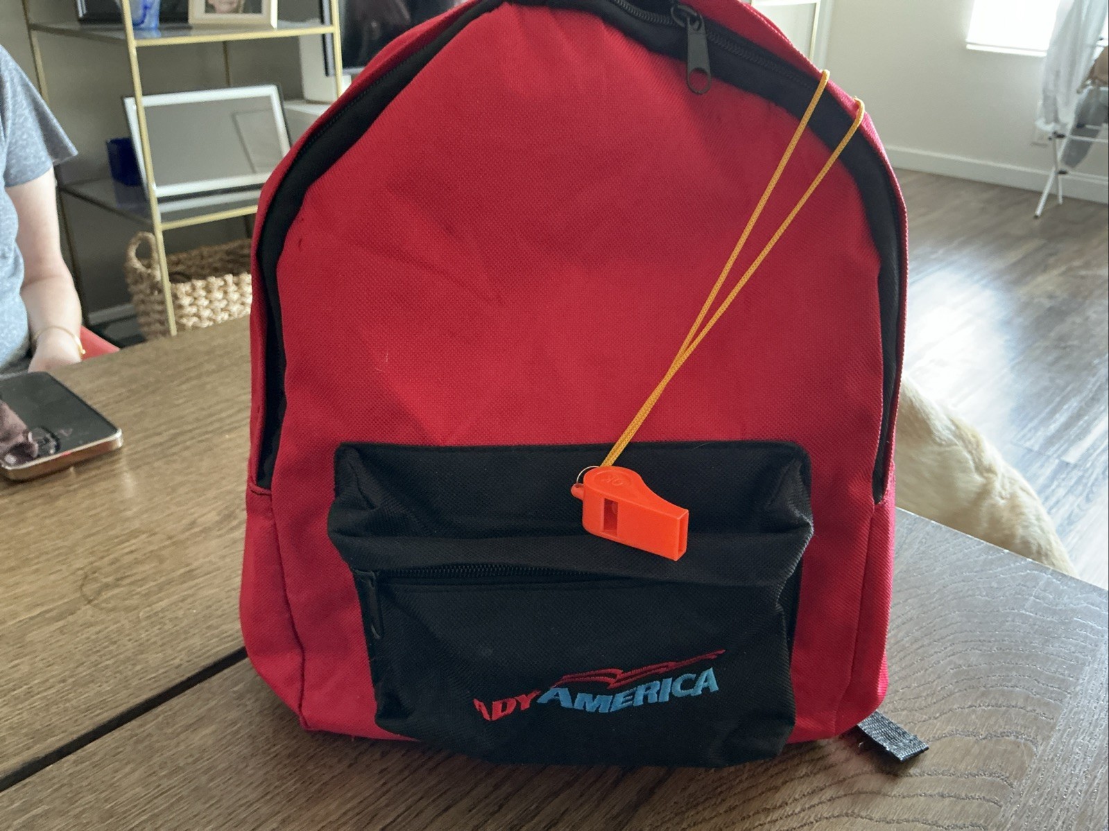 Ready America Small Red Backpack School Books Hiking Camping-12×10 In