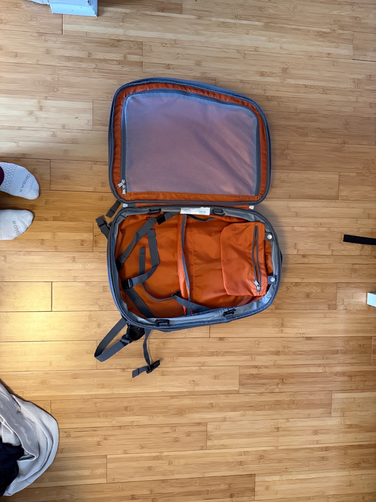 eBags Mother Lode Travel Backpack