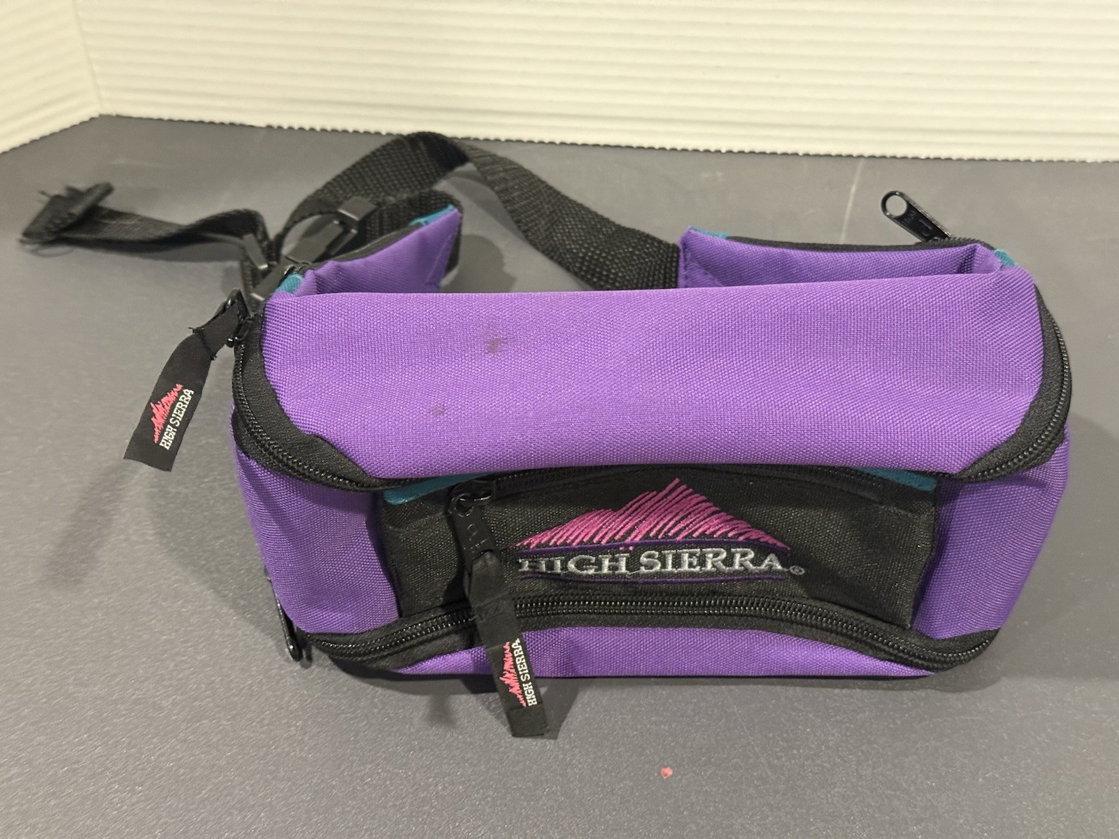 High Sierra Vintage Color Block Waist Pouch Fanny Pack Green Purple 90s Retro