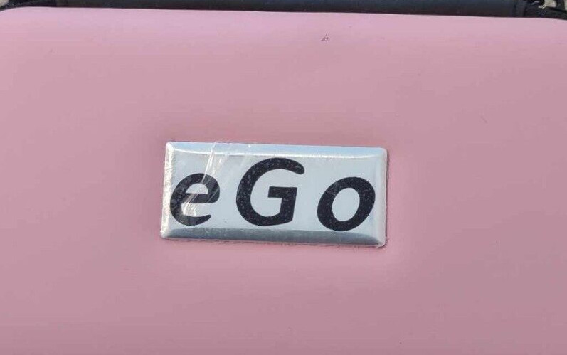 eGo Multi-Purpose Pink Zipper Hard Shell Storage Travel Case