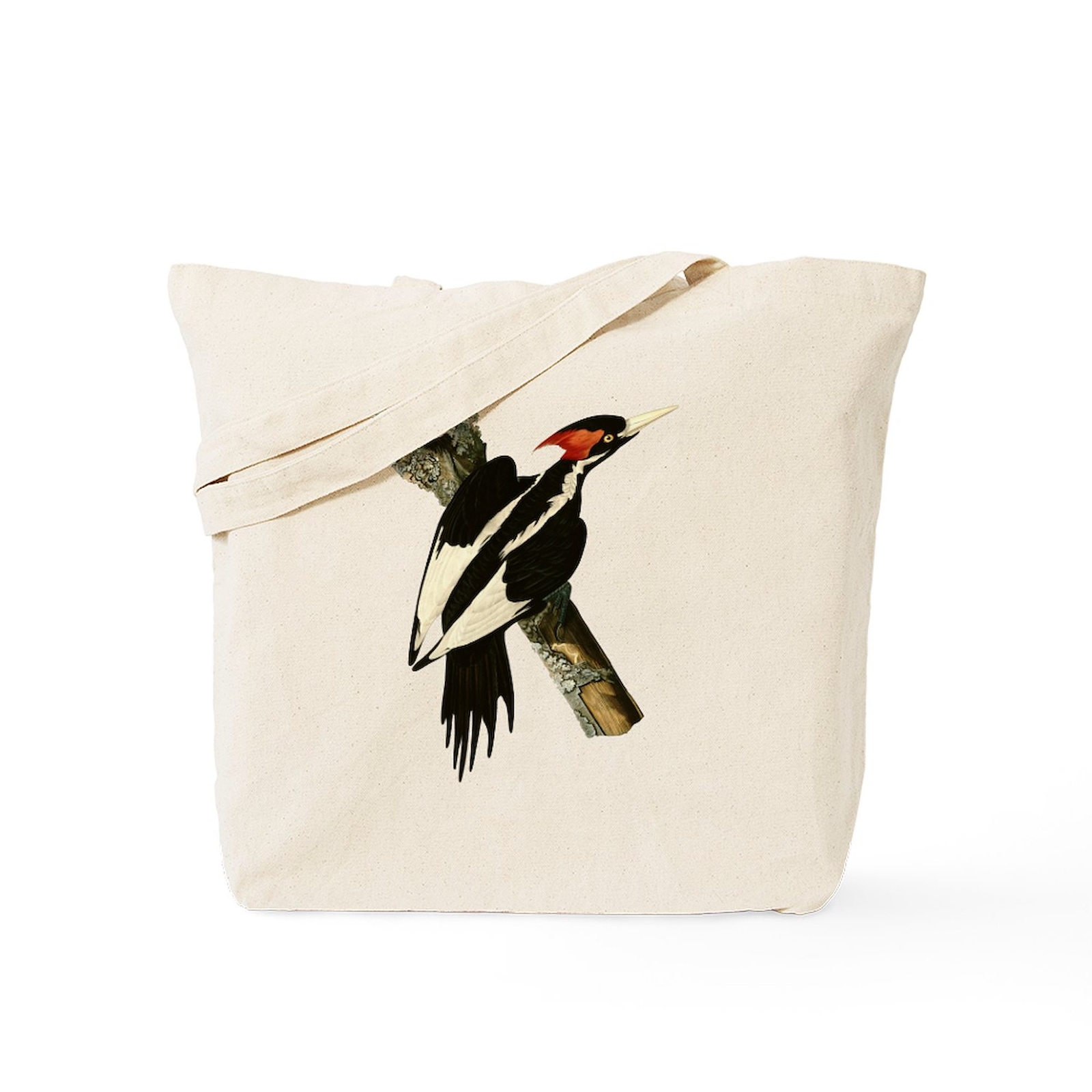 CafePress Ivory Billed Woodpecker Tote Bag (570098606)