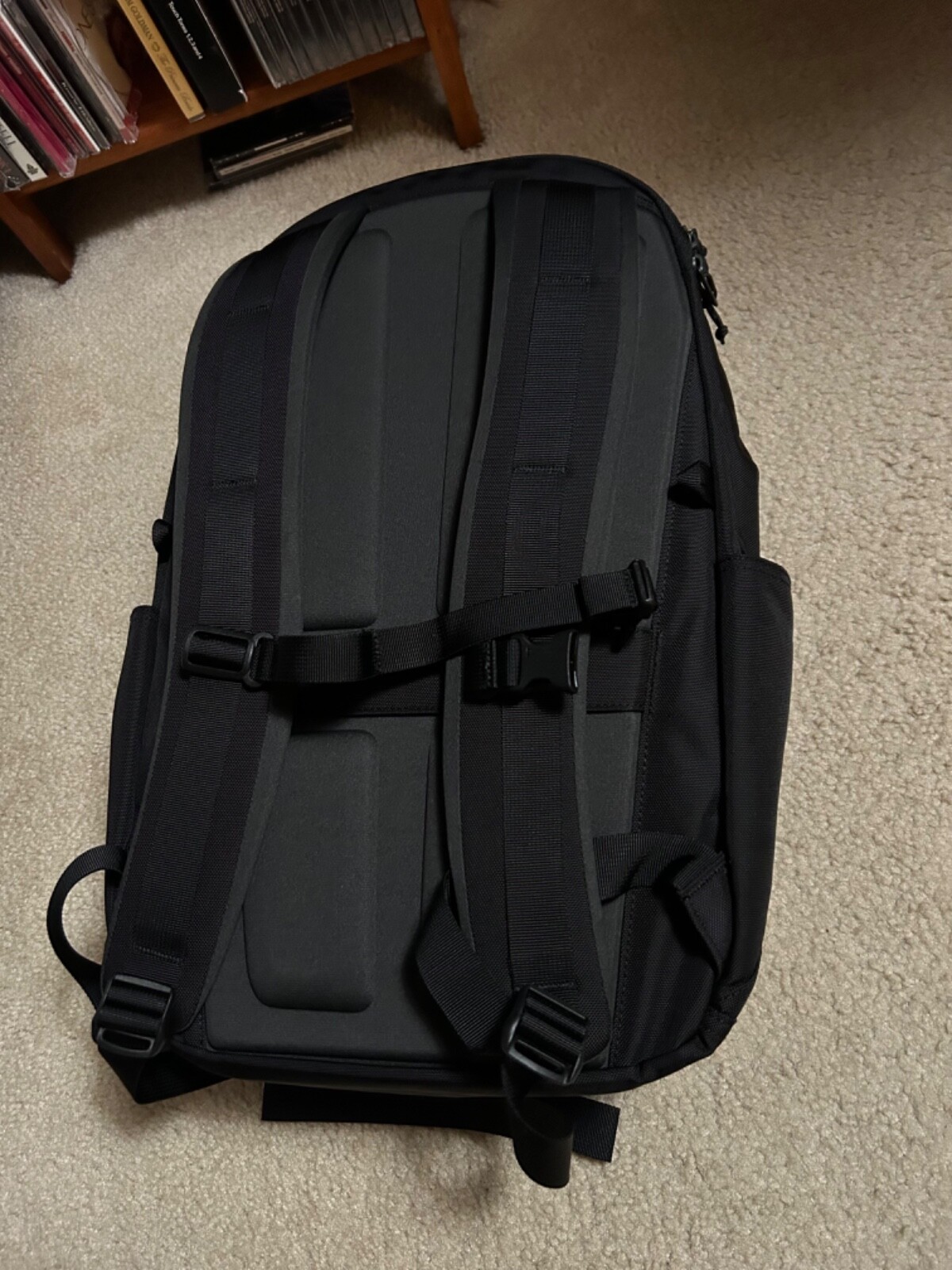 BABOON TO THE MOON black BACKPACK Regular Size