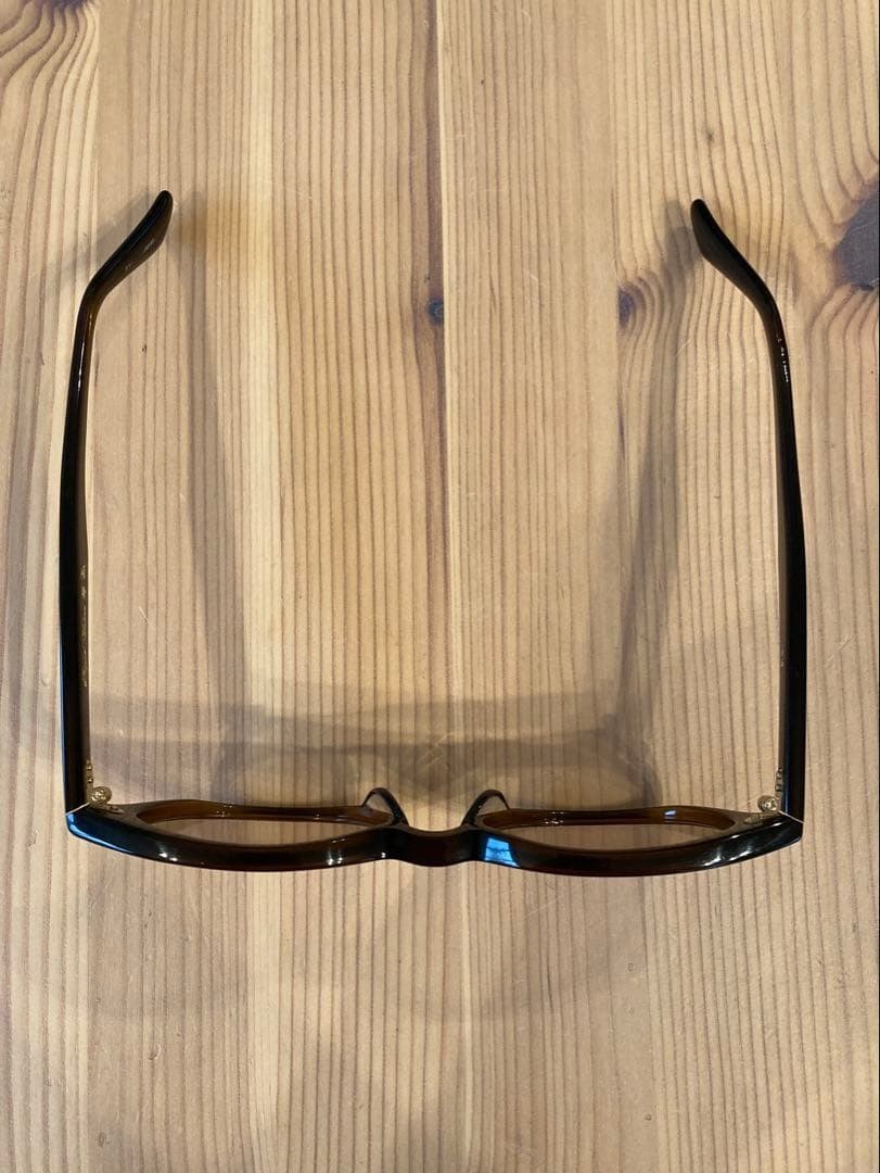 PHIGVEL Brown Frame Sunglasses with Hard Case – Pre-Owned From Japan