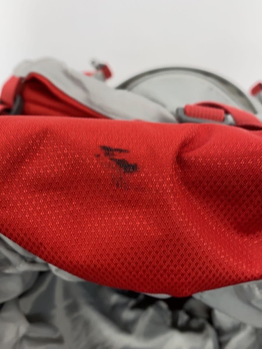 SALEWA CAMMINO 60+10 Polyester Backpack in Red
