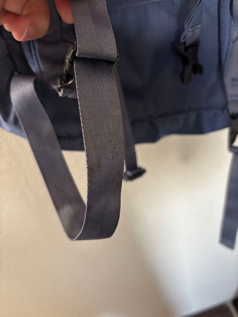 patagonia Tote Bag Style Backpack