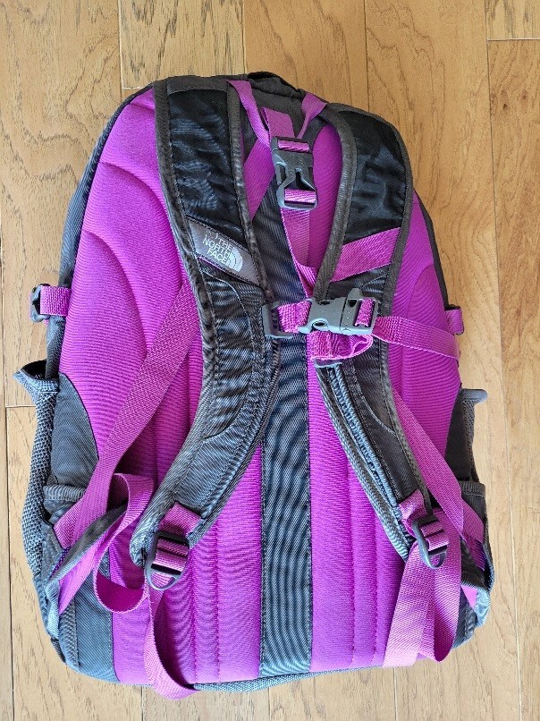 THE NORTH FACE Recon Backpack Gray Purple On Board Air Travel Daypack Hiking 30L