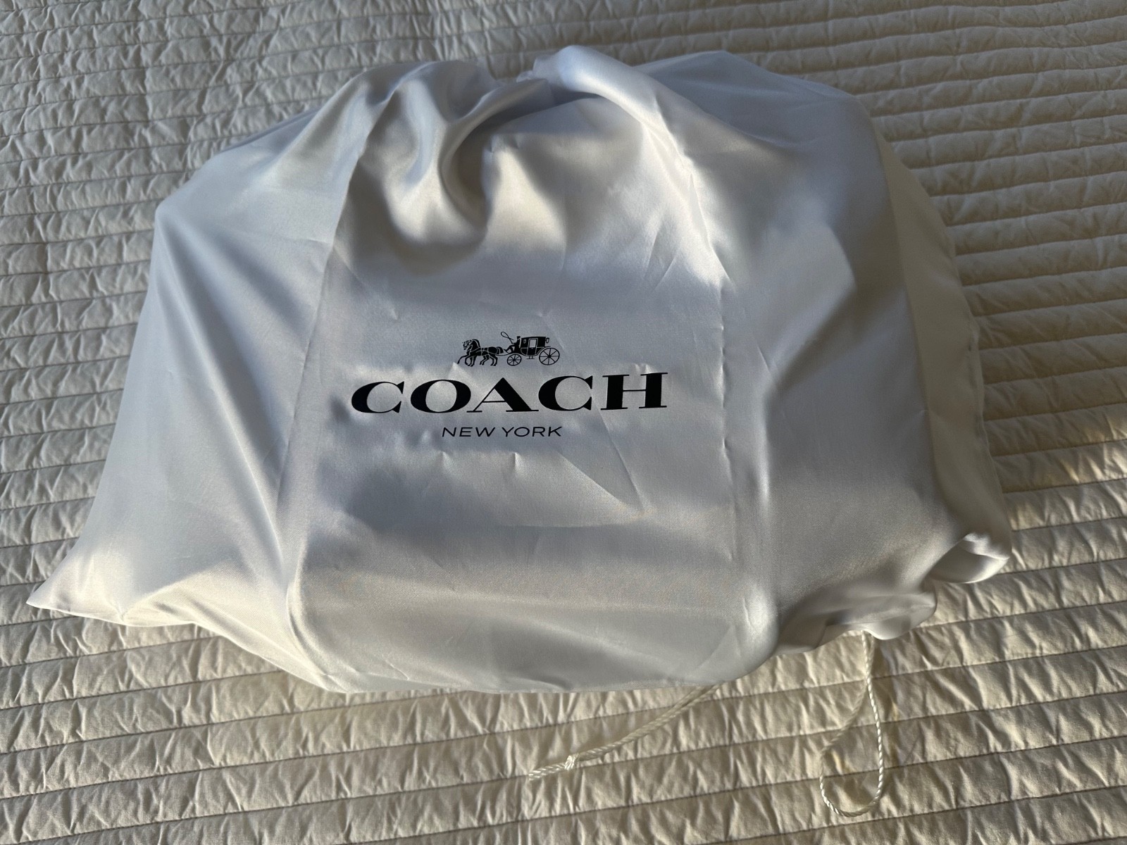 COACH Hitch Backpack Dark Stone Pebbled Leather Suede Lining w/ Dust Bag, Tag