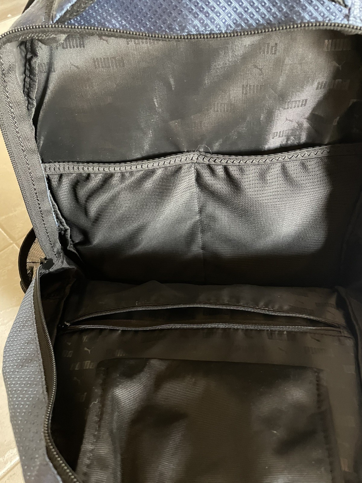 Puma Challenger Backpacks, (2) Blue and Green
