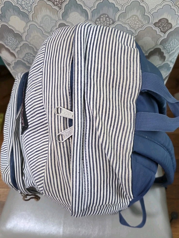 Jansport Right Pack Expressions Backpack Blue White Stripes Leather Bottom