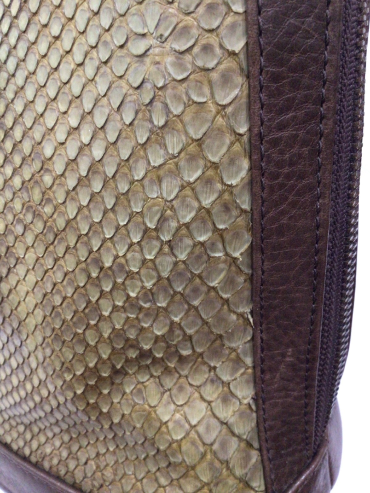 Animal Exotic Leather Backpack Snake Skin