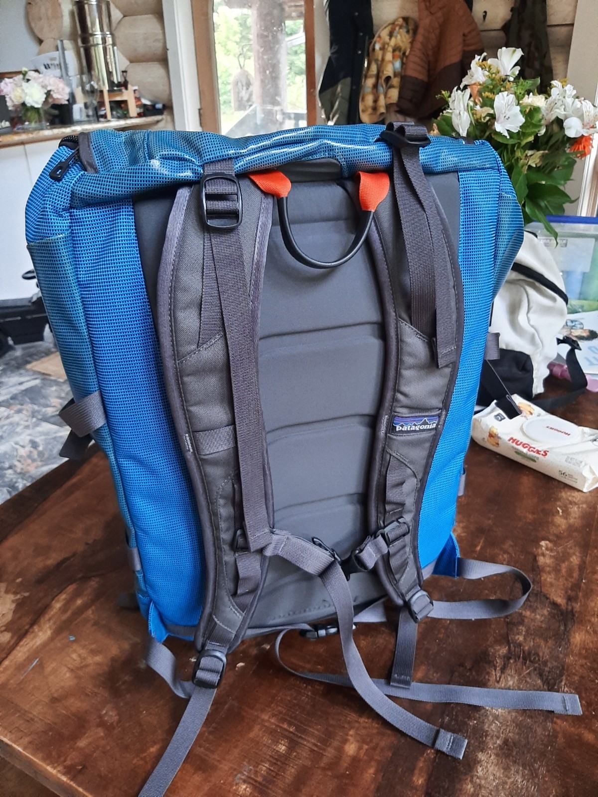 Patagonia Backpack Rare 2010s Waterproof blue green