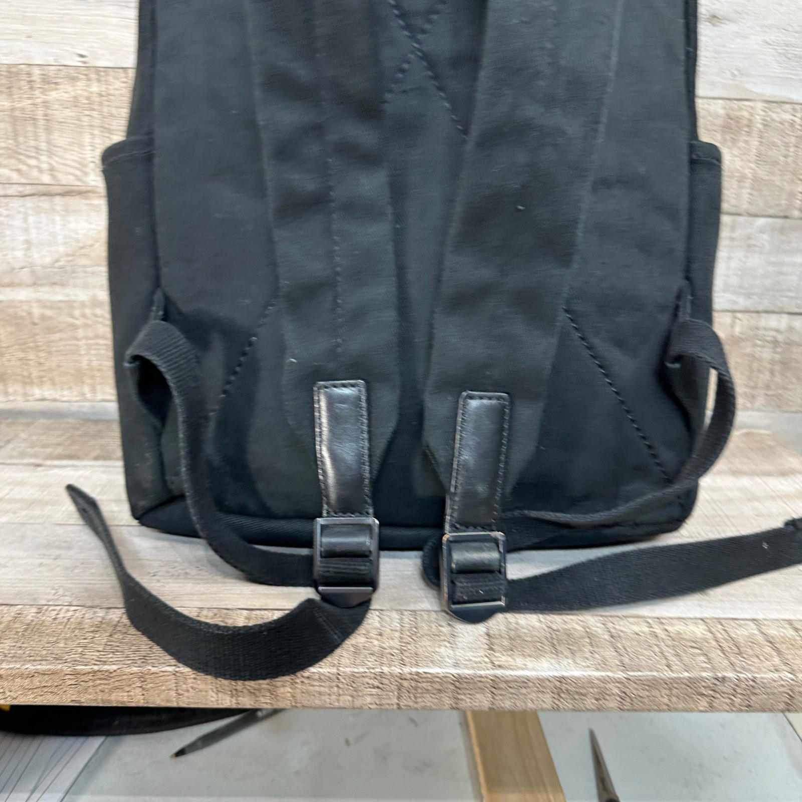Everlane Modern Canvas Backpack Black Minimalist Laptop Bag Travel Rucksack