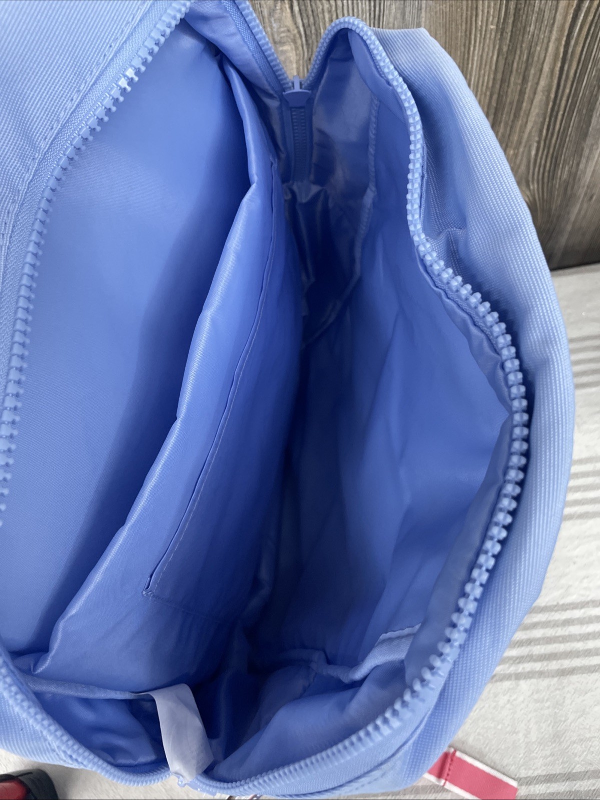 Champion Estate Backpack – Light Blue Pink