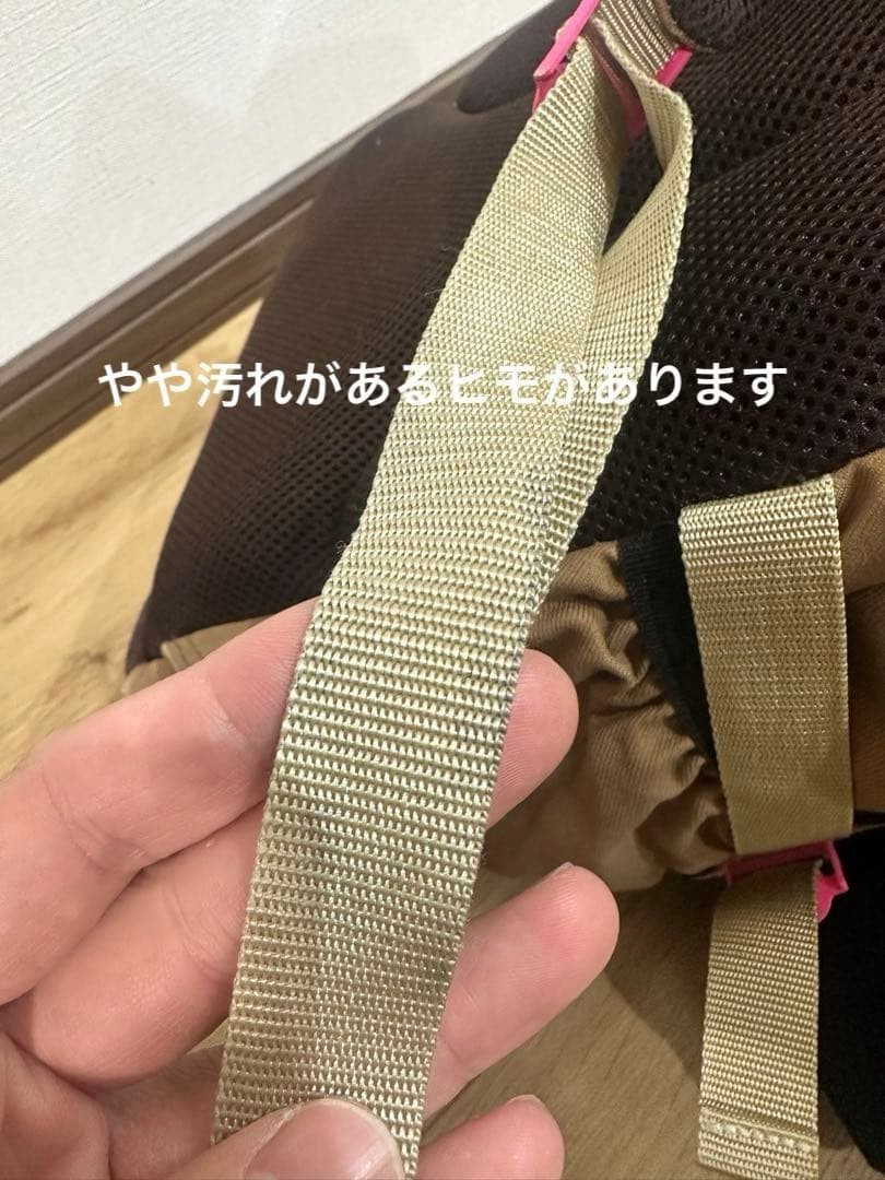 Stussy MasterPiece Collaboration Backpack Very Good Made in Japan Pink
