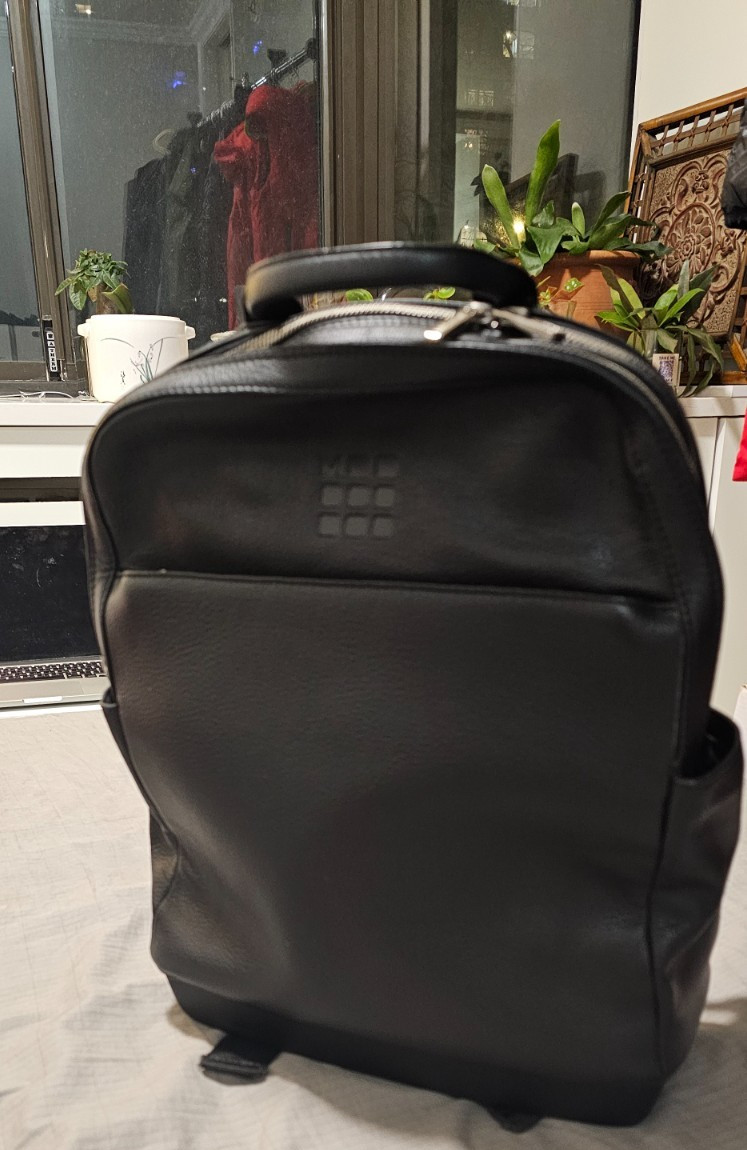 MOLESKIN Backpack, Leather, Plain Black