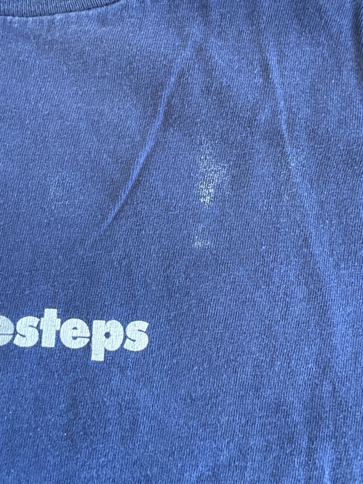 Snapcase Windows Run and Falls Victory Condition Steps Vintage 1995 90S T-Shirt