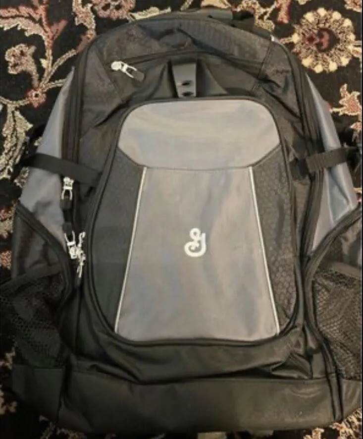 Vertex Gray Travel Laptop Backpack NWT MSP $80