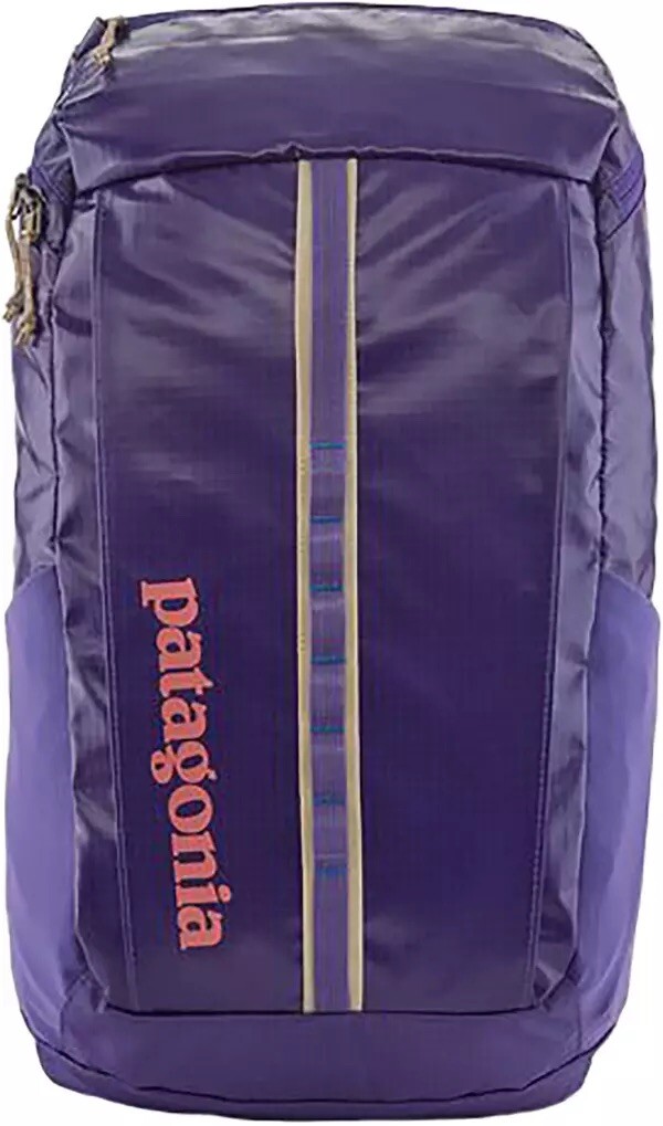 Patagonia black hole Backpack pack 25L perennial purple NWOT Discontinued Rare