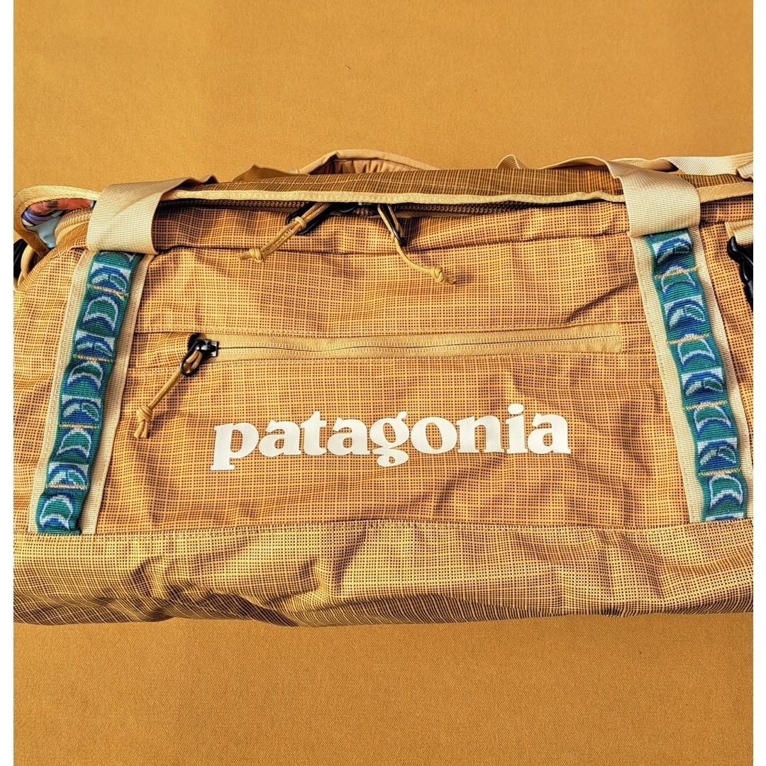 Patagonia Black Hole Duffel 40L PFGD 2025