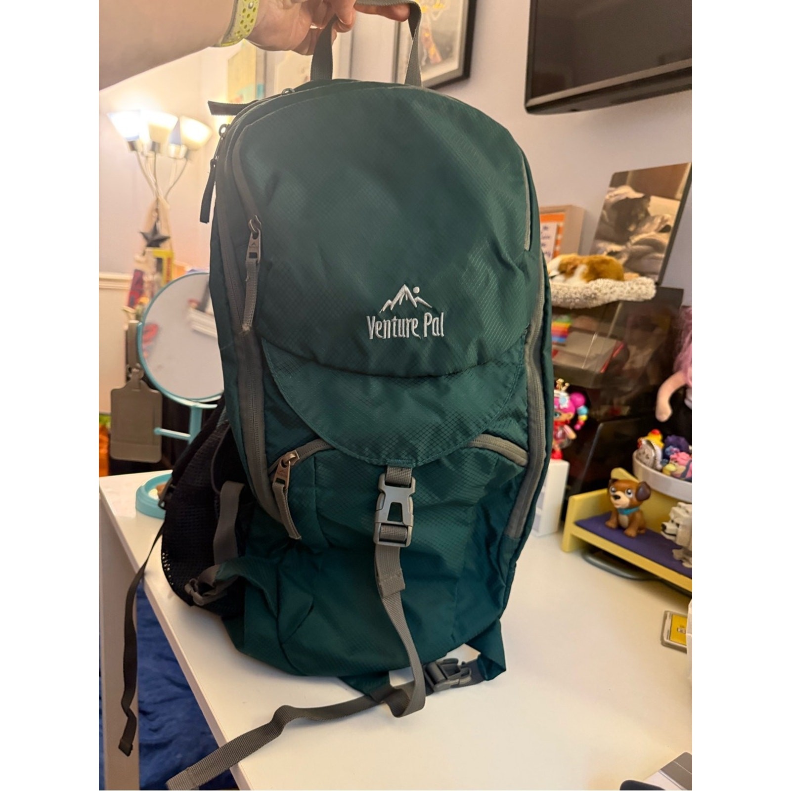Venture Pal Men’s Green Daypack Backpack